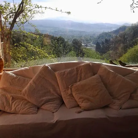 Chicchera Arcola