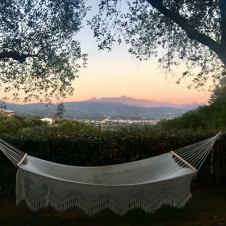 Chicchera Villa